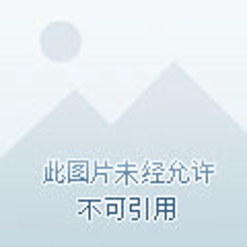 深度解析：如何在众多平台中挑选最合适的机票预订服务
