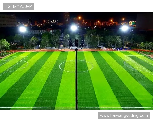 全球顶级足球场球员通道的隔音技术